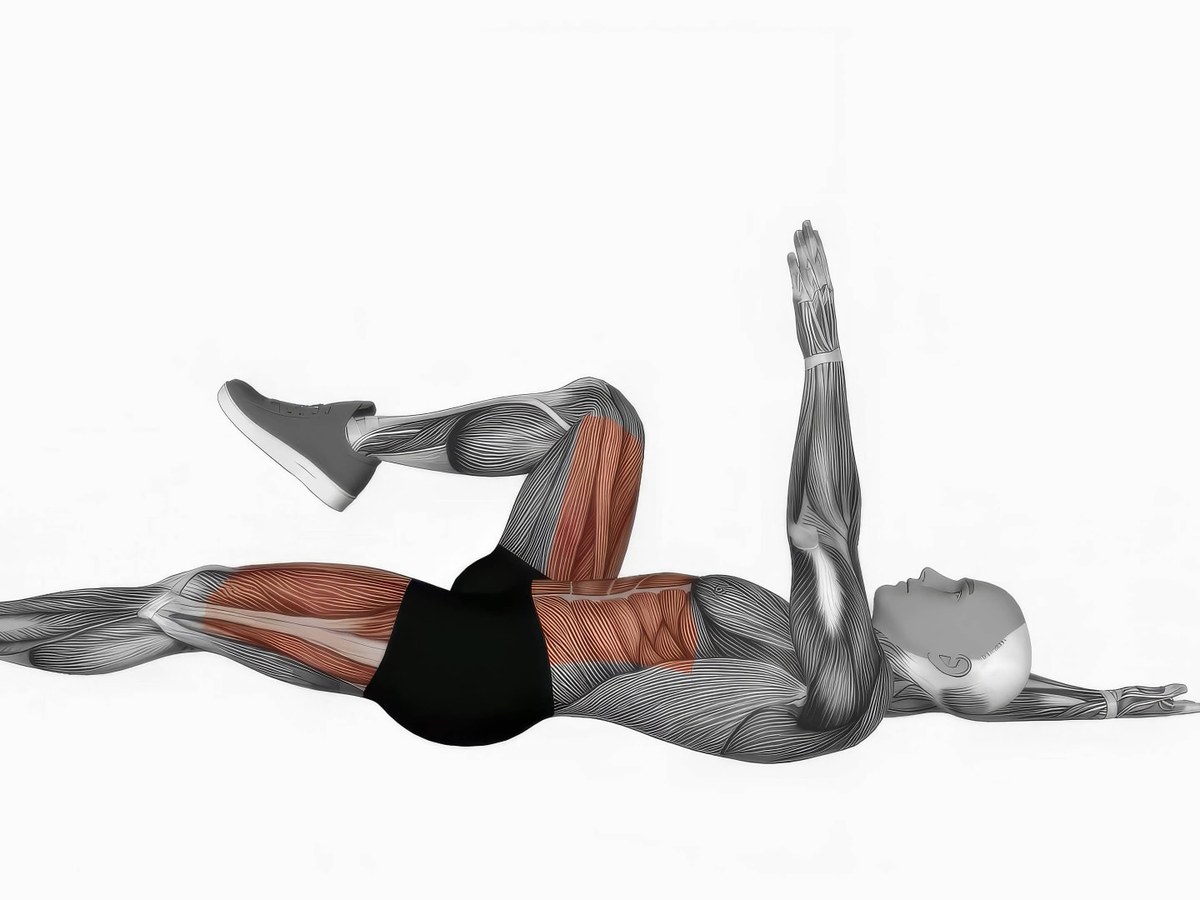 Train — 3D Exercise Library